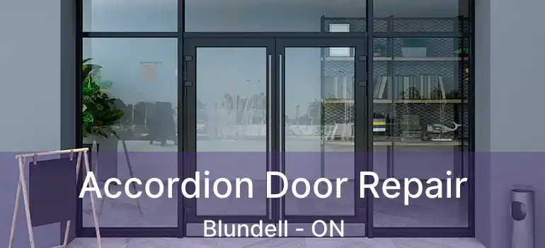  Accordion Door Repair Blundell - ON