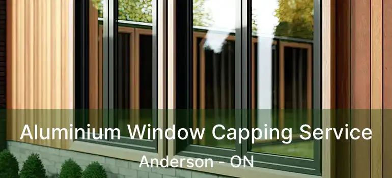  Aluminium Window Capping Service Anderson - ON