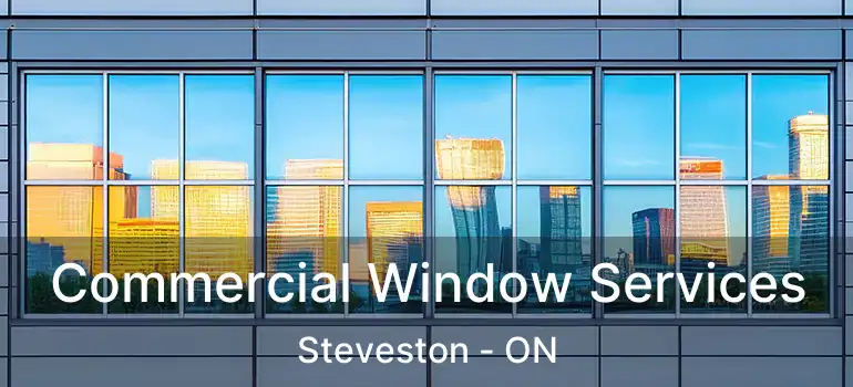  Commercial Window Services Steveston - ON