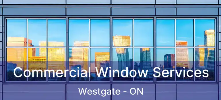  Commercial Window Services Westgate - ON