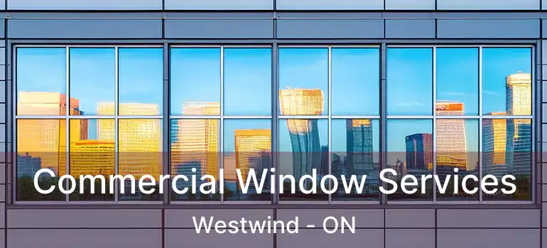  Commercial Window Services Westwind - ON