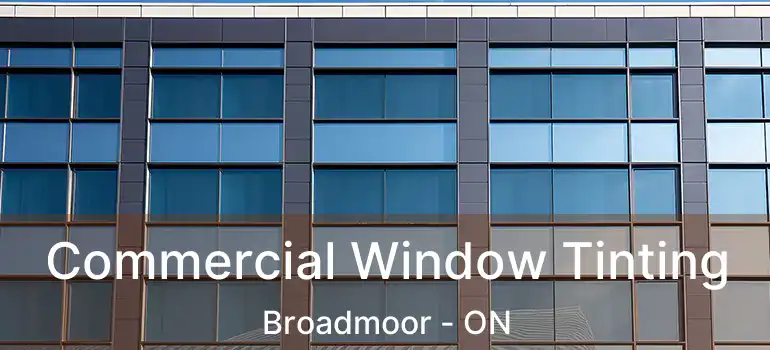  Commercial Window Tinting Broadmoor - ON