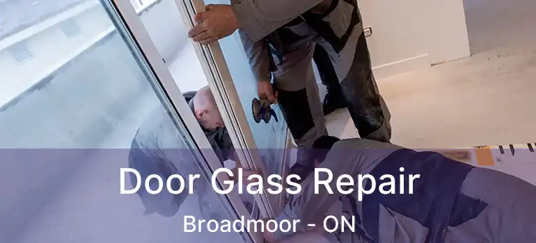  Door Glass Repair Broadmoor - ON