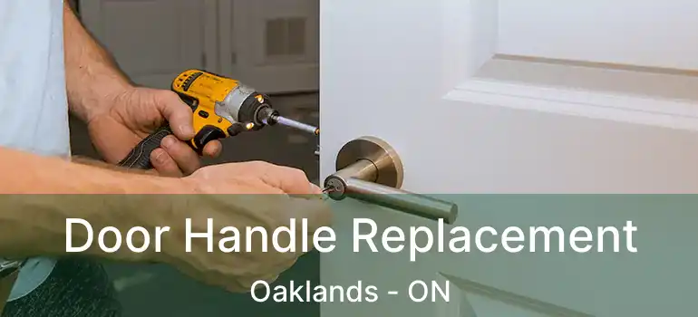  Door Handle Replacement Oaklands - ON
