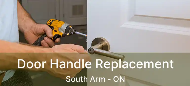  Door Handle Replacement South Arm - ON