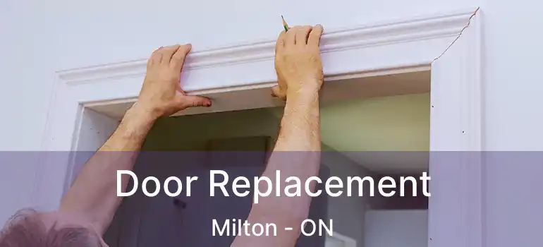  Door Replacement Milton - ON