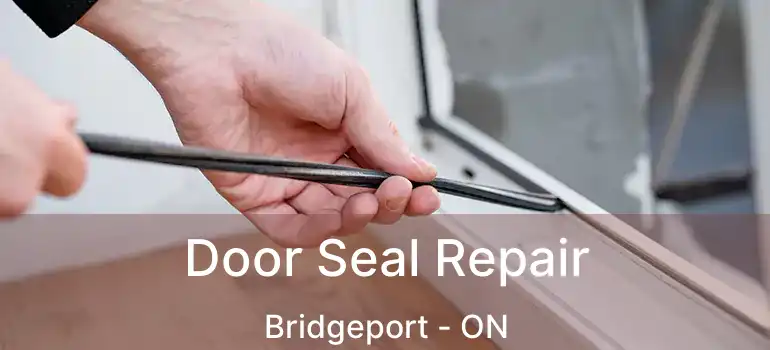 Door Seal Repair Bridgeport - ON