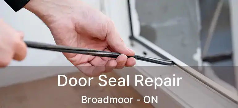  Door Seal Repair Broadmoor - ON