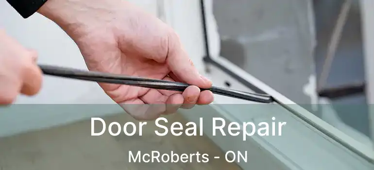  Door Seal Repair McRoberts - ON