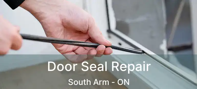  Door Seal Repair South Arm - ON