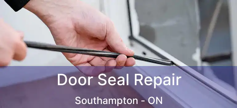  Door Seal Repair Southampton - ON