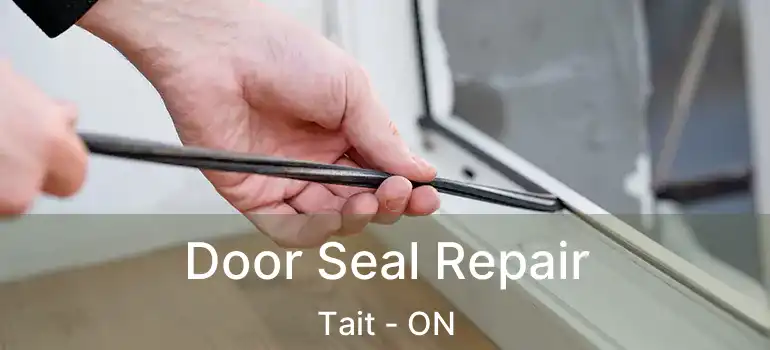  Door Seal Repair Tait - ON