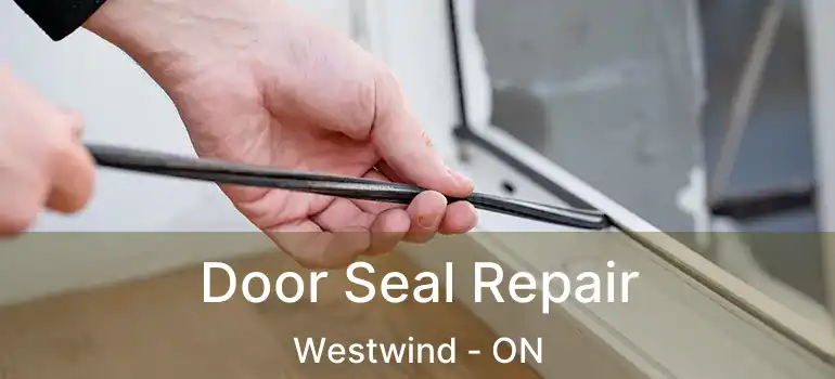  Door Seal Repair Westwind - ON