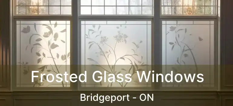  Frosted Glass Windows Bridgeport - ON