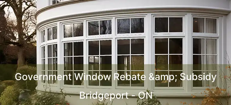  Government Window Rebate & Subsidy Bridgeport - ON