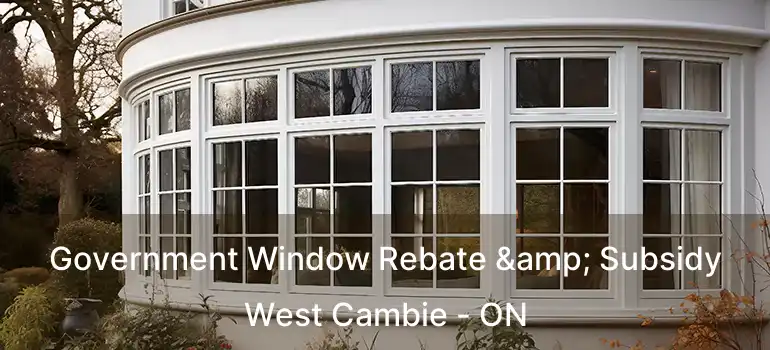  Government Window Rebate & Subsidy West Cambie - ON