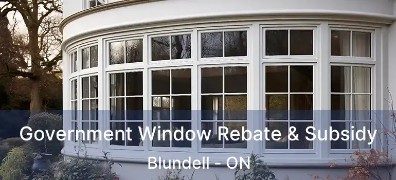  Government Window Rebate & Subsidy Blundell - ON