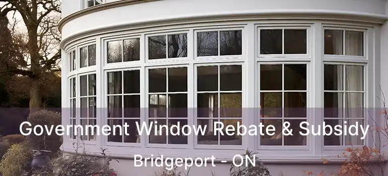  Government Window Rebate & Subsidy Bridgeport - ON
