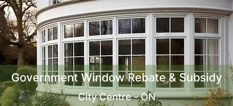  Government Window Rebate & Subsidy City Centre - ON
