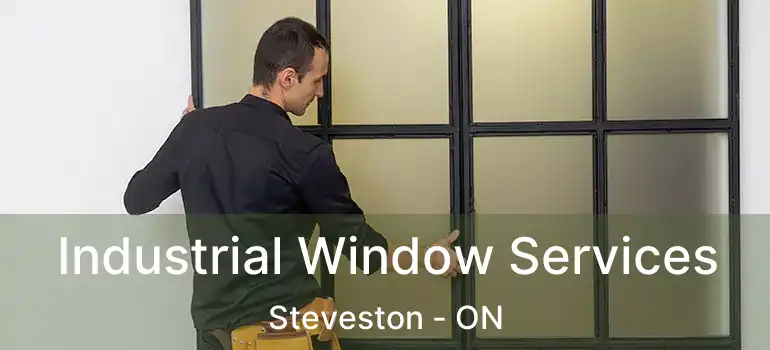  Industrial Window Services Steveston - ON