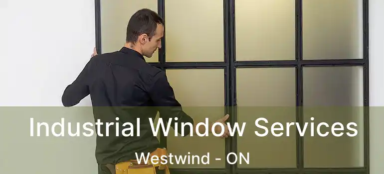  Industrial Window Services Westwind - ON