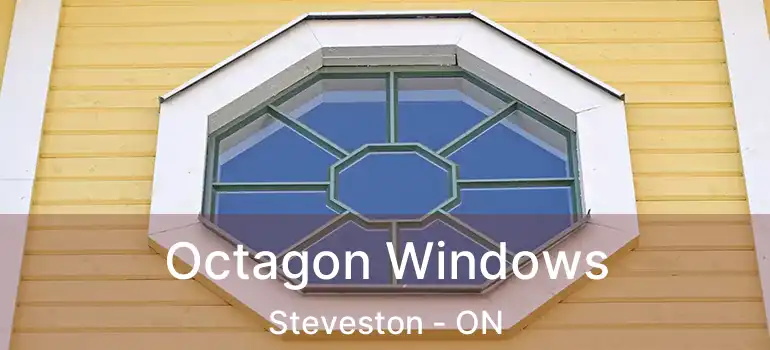 Octagon Windows Steveston - ON
