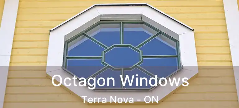  Octagon Windows Terra Nova - ON
