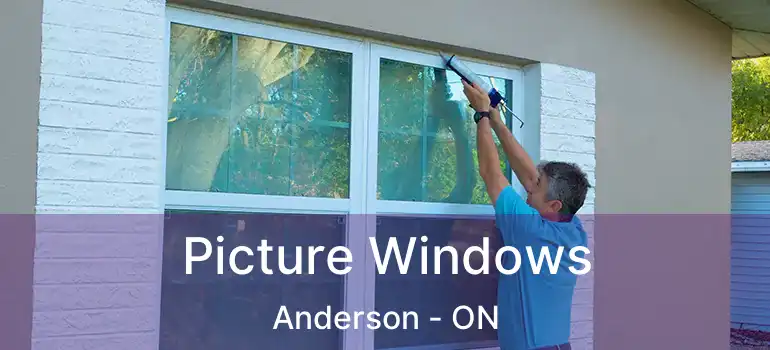  Picture Windows Anderson - ON