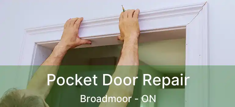  Pocket Door Repair Broadmoor - ON