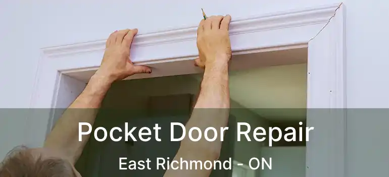  Pocket Door Repair East Richmond - ON