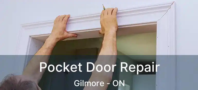  Pocket Door Repair Gilmore - ON