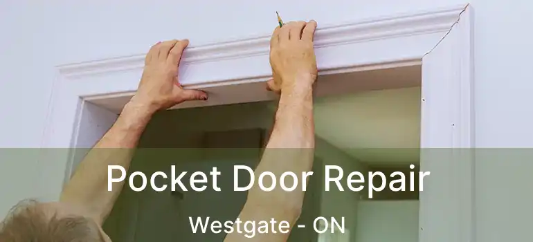  Pocket Door Repair Westgate - ON