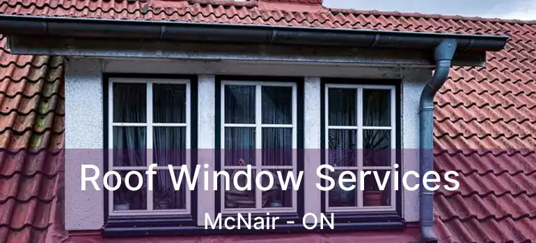  Roof Window Services McNair - ON