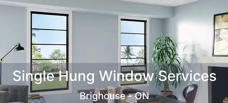  Single Hung Window Services Brighouse - ON
