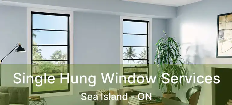  Single Hung Window Services Sea Island - ON