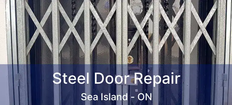  Steel Door Repair Sea Island - ON