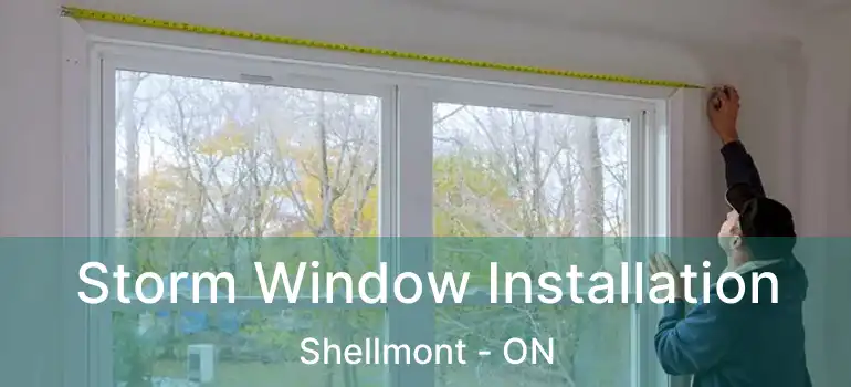  Storm Window Installation Shellmont - ON