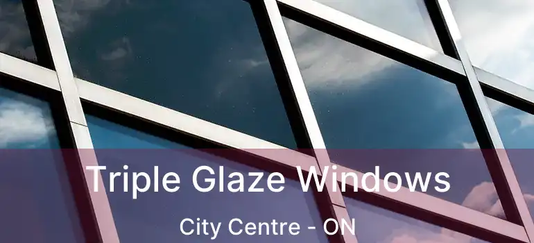  Triple Glaze Windows City Centre - ON