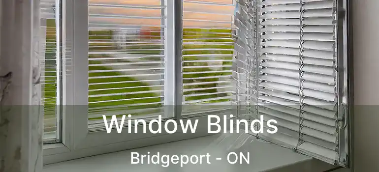  Window Blinds Bridgeport - ON