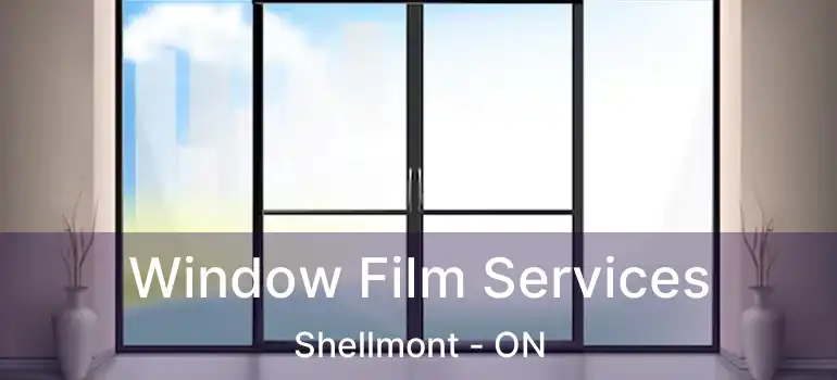  Window Film Services Shellmont - ON
