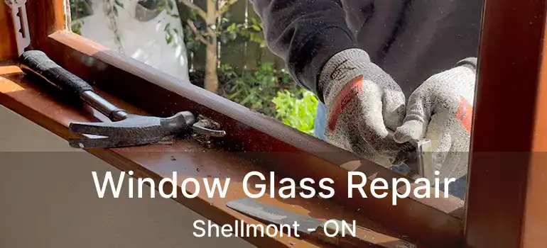  Window Glass Repair Shellmont - ON