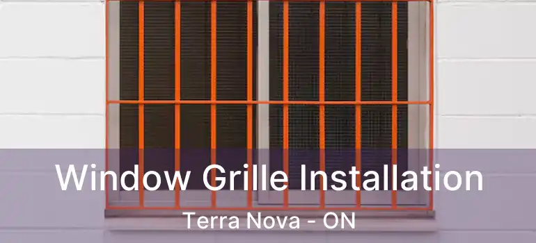  Window Grille Installation Terra Nova - ON