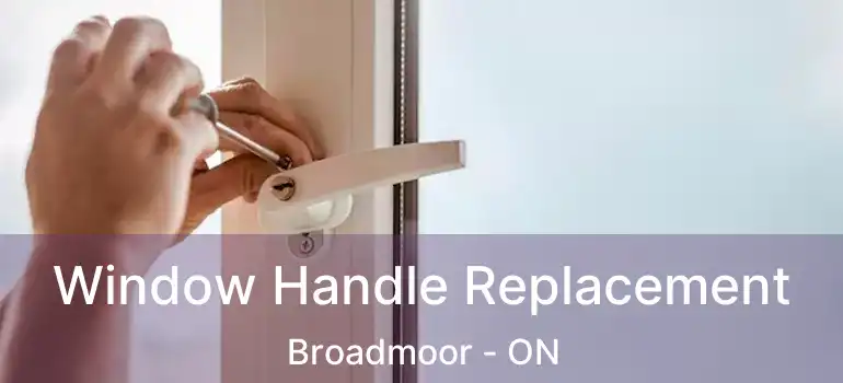  Window Handle Replacement Broadmoor - ON