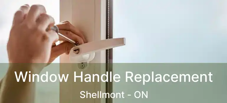  Window Handle Replacement Shellmont - ON