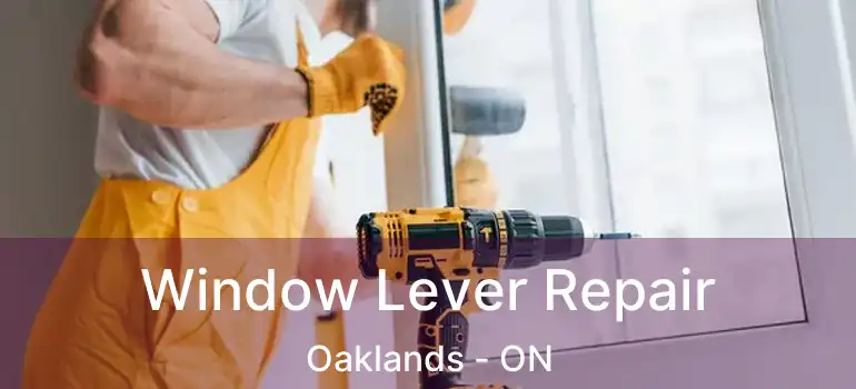  Window Lever Repair Oaklands - ON