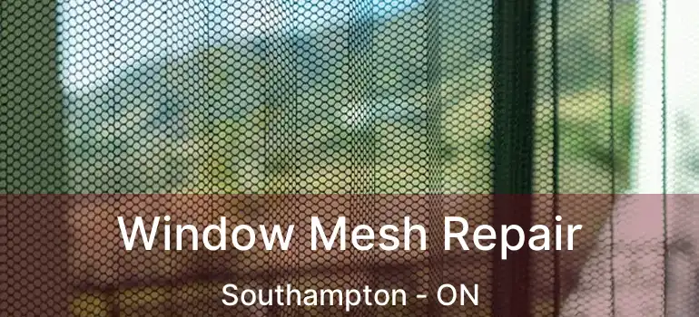  Window Mesh Repair Southampton - ON