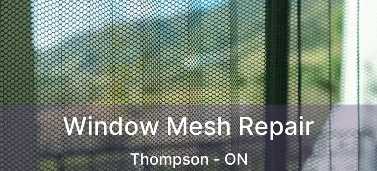 Window Mesh Repair Thompson - ON