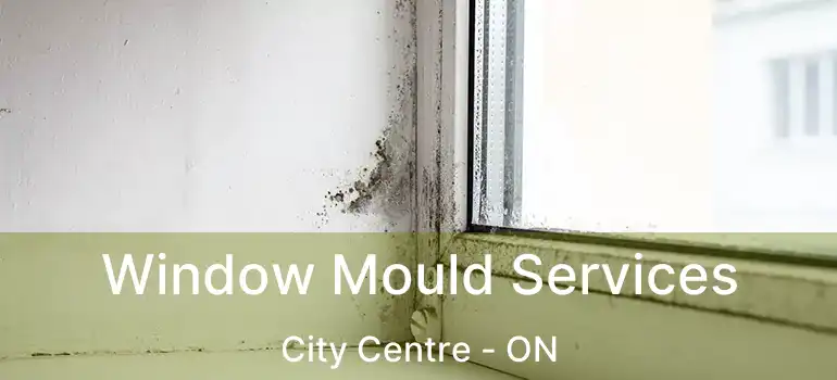  Window Mould Services City Centre - ON
