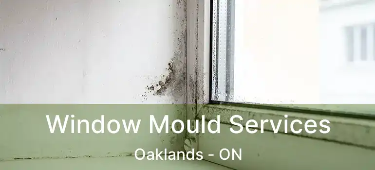  Window Mould Services Oaklands - ON