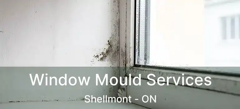  Window Mould Services Shellmont - ON